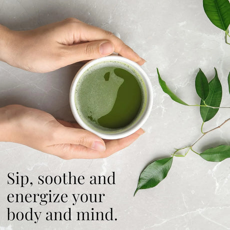 THE REPUBLIC OF TEA - The Republic of Tea Organic Full-Leaf Japanese Matcha Green Tea Powder 43Gr. - The Red Vitamin MX - Suplementos Alimenticios - {{ shop.shopifyCountryName }}