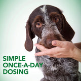 VET'S BEST - Vet's Best Probiotic Soft Chews Dog 90 Masticables - The Red Vitamin MX - Probióticos Para Perros - {{ shop.shopifyCountryName }}