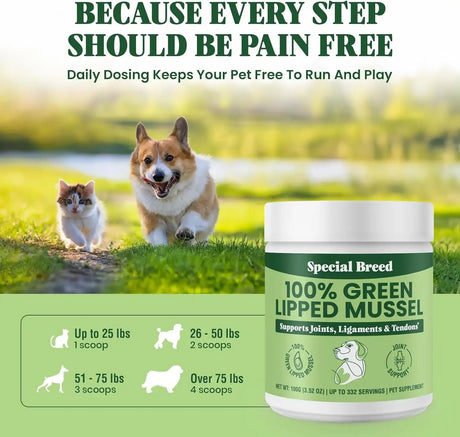 SPECIAL BREED - Special Breed Green Lipped Mussel Powder for Dogs & Cats 100Gr. - The Red Vitamin MX - Cuidado De Cadera Y Articulaciones Para Perros - {{ shop.shopifyCountryName }}