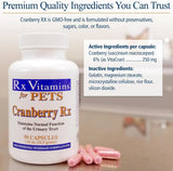 RX VITAMINS - Rx Vitamins Cranberry Pills for Dogs 90 Capsulas - The Red Vitamin MX - Salud De Tracto Urinario Para Perros - {{ shop.shopifyCountryName }}