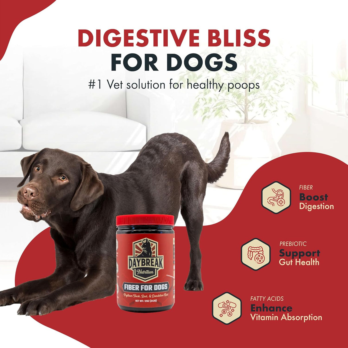 Daybreak Nutrition Fiber for Dogs Psyllium Husk 342Gr.