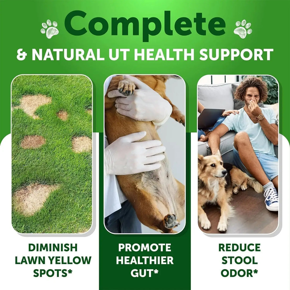 ARTULLANO - Artullano Grass Burn Spot Chews for Dogs 120 Masticables - The Red Vitamin MX - Salud De Tracto Urinario Para Perros - {{ shop.shopifyCountryName }}