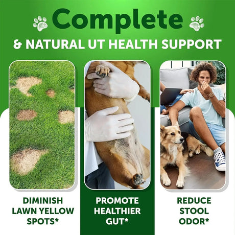 ARTULLANO - Artullano Grass Burn Spot Chews for Dogs 120 Masticables - The Red Vitamin MX - Salud De Tracto Urinario Para Perros - {{ shop.shopifyCountryName }}