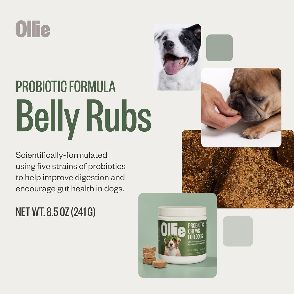 Ollie Probiotic Dog Chews 60 Masticables