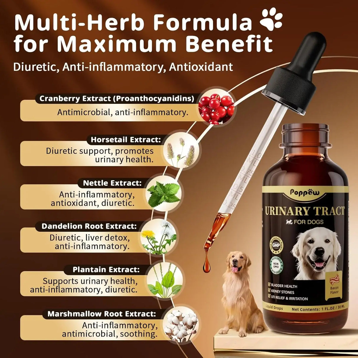 POPPAW - POPPAW Dog UTI Treatment & Urinary Tract Support Bacon Flavor 2 Fl.Oz. 2 Pack - The Red Vitamin MX - Salud De Tracto Urinario Para Perros - {{ shop.shopifyCountryName }}