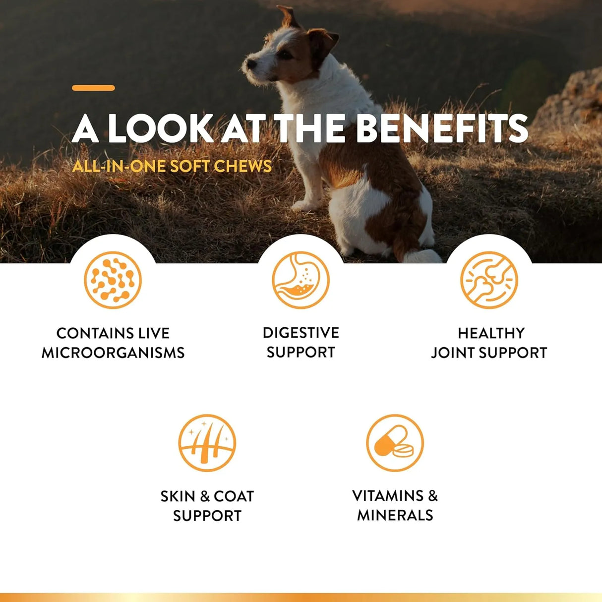 NATURVET - NaturVet All-in-One Dog Supplement 60 Masticables - The Red Vitamin MX - Multivitamínicos Para Perros - {{ shop.shopifyCountryName }}