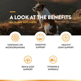NATURVET - NaturVet All-in-One Dog Supplement 60 Masticables - The Red Vitamin MX - Multivitamínicos Para Perros - {{ shop.shopifyCountryName }}