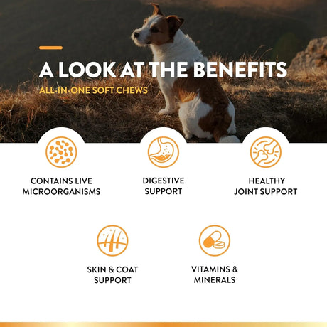 NATURVET - NaturVet All-in-One Dog Supplement 60 Masticables - The Red Vitamin MX - Multivitamínicos Para Perros - {{ shop.shopifyCountryName }}