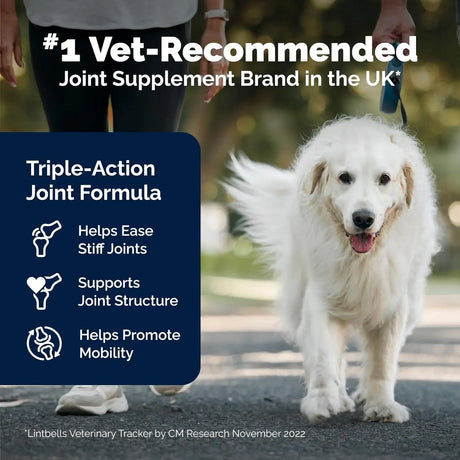 YUMOVE - YuMOVE Hip & Joint Supplement for Senior Dogs with Max Strength 120 Tabletas Masticables - The Red Vitamin MX - Cuidado De Cadera Y Articulaciones Para Perros - {{ shop.shopifyCountryName }}