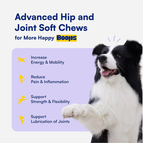 BOOPS PETS - Boops Pets Advanced Hip & Joint Supplement for Dogs 90 Masticables - The Red Vitamin MX - Cuidado De Cadera Y Articulaciones Para Perros - {{ shop.shopifyCountryName }}