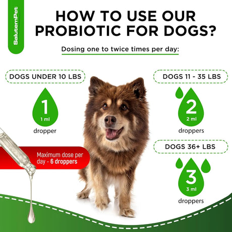 SALUTEMPET - SalutemPet Liquid Probiotics for Dogs Bacon Taste 2 Fl.Oz. - The Red Vitamin MX - Probióticos Para Perros - {{ shop.shopifyCountryName }}