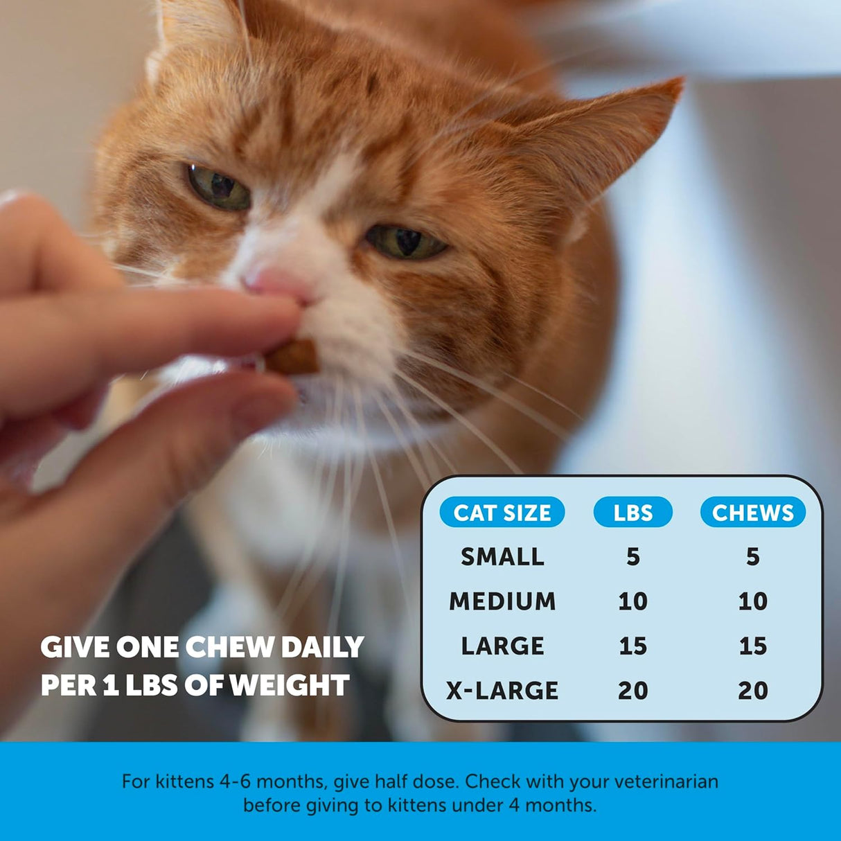 Pet Honesty Cat Skin & Coat Health Crunchy & Creamy Chews 30 Day Supply