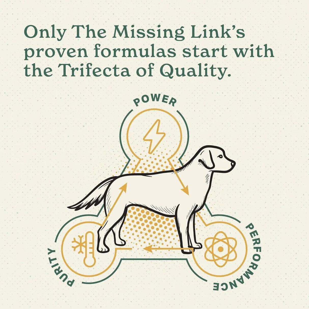 THE MISSING LINK - The Missing Link Hip & Joint + Probiotics Supplement 454Gr. - The Red Vitamin MX - Cuidado De Cadera Y Articulaciones Para Perros - {{ shop.shopifyCountryName }}