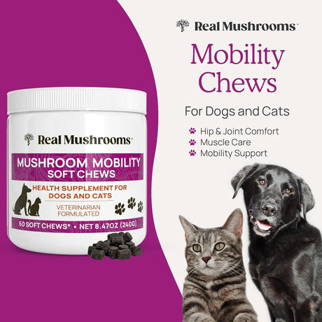 REAL MUSHROOMS - Real Mushrooms Mobility Chews for Dogs & Cats 60 Masticables - The Red Vitamin MX - Suplementos Herbales Para Perros - {{ shop.shopifyCountryName }}