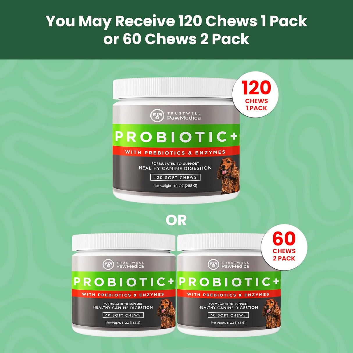 TRUSTWELL PAWMEDICA - TRUSTWELL PAWMEDICA Dog Probiotics and Digestive Enzymes 120 Masticables - The Red Vitamin MX - Probióticos Para Perros - {{ shop.shopifyCountryName }}