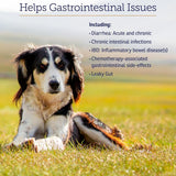 Rx Vitamins NutriGest Dog Probiotics for Digestive Health 132Gr.
