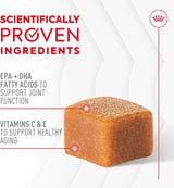 ROYAL CANIN - Royal Canin Joint Supplement Soft Chews for Adult Dogs 60 Masticables - The Red Vitamin MX - Cuidado De Cadera Y Articulaciones Para Perros - {{ shop.shopifyCountryName }}