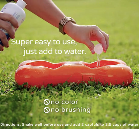 BLUESTEM - Bluestem Pet Water Additive Oral Care Dogs Only Vanilla Mint 500Ml. - The Red Vitamin MX - Cuidado Dental Para Perros - {{ shop.shopifyCountryName }}