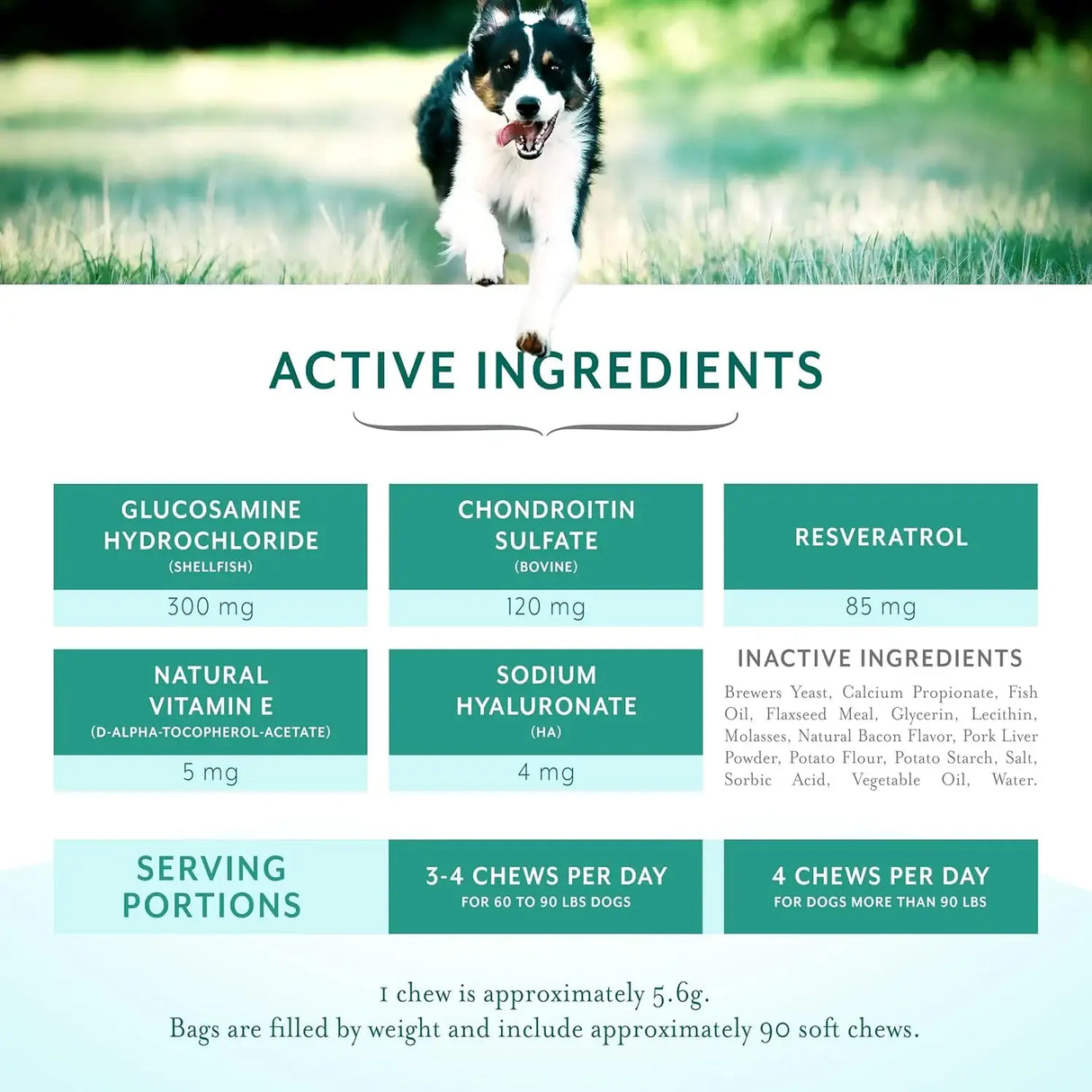 PETHRIVE - PetThrive Dog Hip and Joint Support Soft Chews Large Breed 90 Masticables - The Red Vitamin MX - Cuidado De Cadera Y Articulaciones Para Perros - {{ shop.shopifyCountryName }}