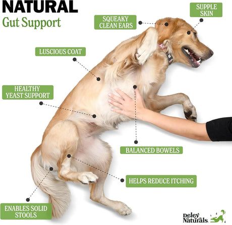 DELEY NATURALS - Deley Naturals Dog Probiotic Chews 120 Masticables - The Red Vitamin MX - Probióticos Para Perros - {{ shop.shopifyCountryName }}