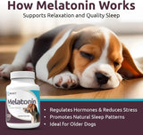 K9 SELECT - K9 Select Melatonin for Dogs Peanut Butter 6Mg. 120 Tabletas Masticables - The Red Vitamin MX - Relajantes Para Perros - {{ shop.shopifyCountryName }}