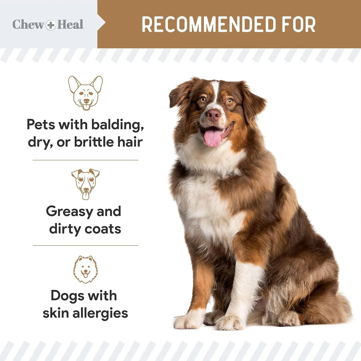 CHEW + HEAL - Chew + Heal Labs Omega Treats for Skin and Coat Peanut Butter Flavor 180 Masticables 2 Pack - The Red Vitamin MX - Aceite De Pescado Para Perros - {{ shop.shopifyCountryName }}