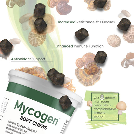 PET HEALTH SOLUTIONS - Pet Health Solutions Mycogen for Dogs Vitamins with 8 Types of Mushrooms 60 Masticables 2 Pack - The Red Vitamin MX - Suplementos Herbales Para Perros - {{ shop.shopifyCountryName }}