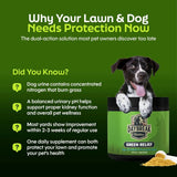 DAYBREAK NUTRITION - Daybreak Nutrition Green Relief Dog Urine Neutralizer for Lawn 120Gr. - The Red Vitamin MX - Salud De Tracto Urinario Para Perros - {{ shop.shopifyCountryName }}
