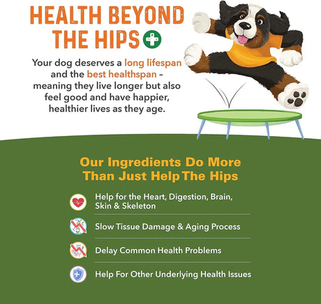 BERNIE'S - Bernie's Healthy HIPS 90 Masticables - The Red Vitamin MX - Cuidado De Cadera Y Articulaciones Para Perros - {{ shop.shopifyCountryName }}