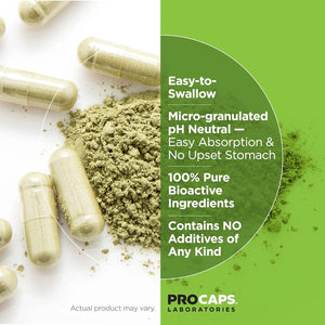 ANDREW LESSMAN - Andrew Lessman Green Tea EGCG 200 60 Capsulas - The Red Vitamin MX - Suplementos Alimenticios - {{ shop.shopifyCountryName }}