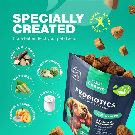 CHEWIA - CHEWIA Probiotics for Dogs 70 Masticables - The Red Vitamin MX - Probióticos Para Perros - {{ shop.shopifyCountryName }}