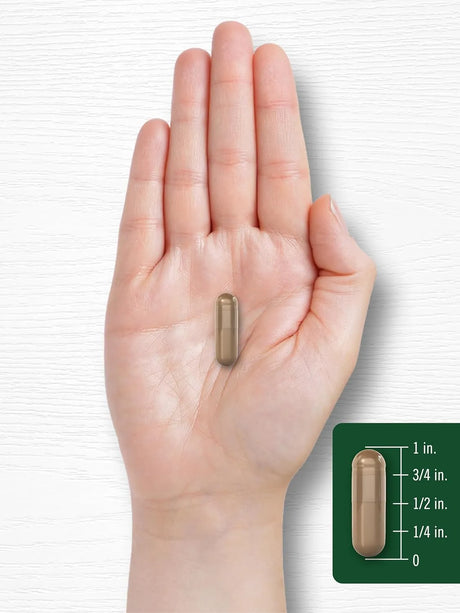CARLYLE - Carlyle Olive Leaf Extract 9,000Mg. 100 Capsulas - The Red Vitamin MX - Suplementos Alimenticios - {{ shop.shopifyCountryName }}