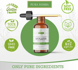 PURA HERBA - Pura Herba Mullein Leaf Tincture for Lungs 60Ml. - The Red Vitamin MX - Suplementos Alimenticios - {{ shop.shopifyCountryName }}