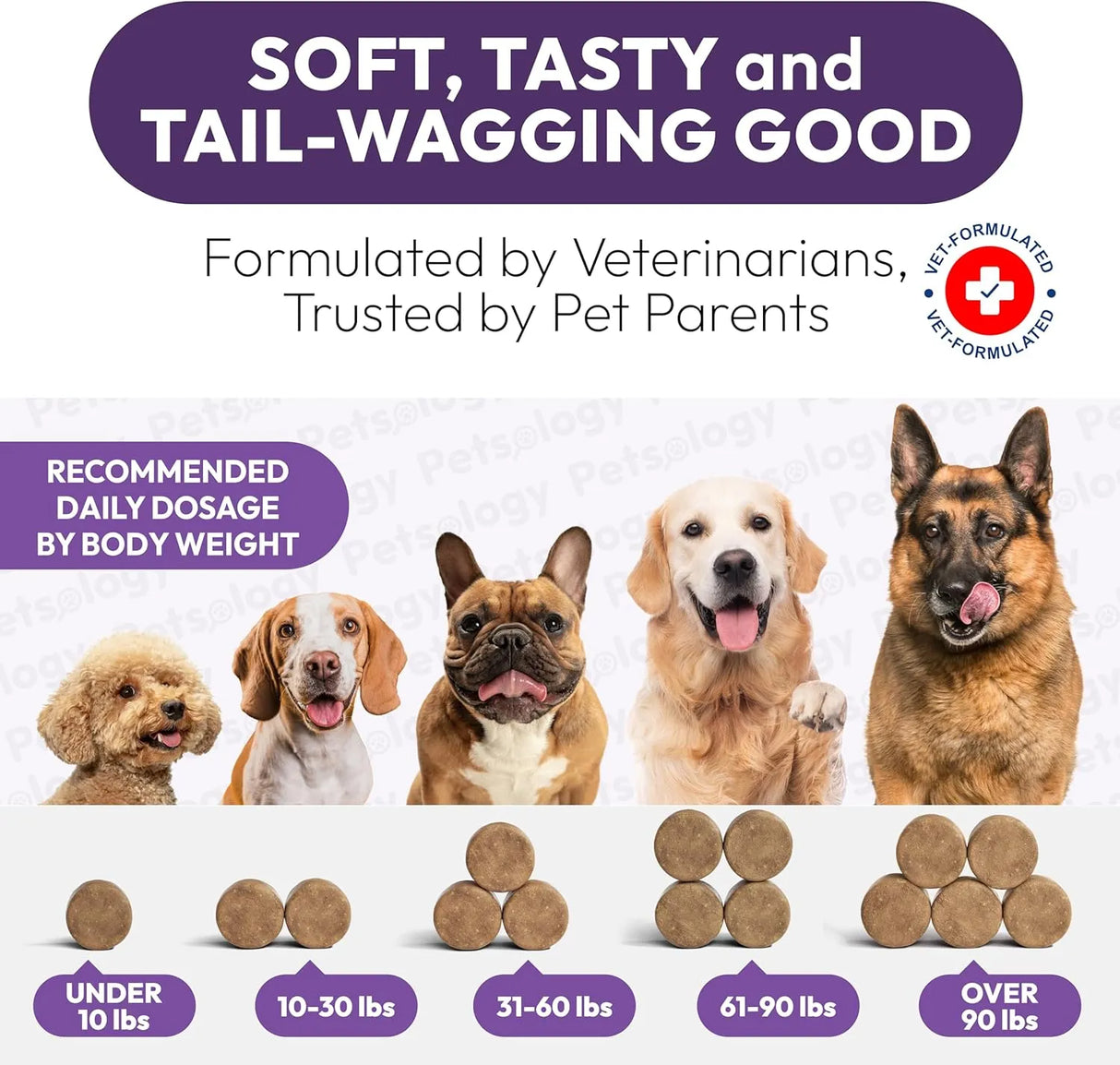 PETSOLOGY - Petsology Dog Multivitamin Chewable 170 Masticables - The Red Vitamin MX - Multivitamínicos Para Perros - {{ shop.shopifyCountryName }}