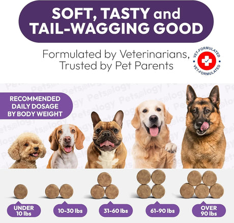 PETSOLOGY - Petsology Dog Multivitamin Chewable 170 Masticables - The Red Vitamin MX - Multivitamínicos Para Perros - {{ shop.shopifyCountryName }}
