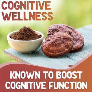 XPRS NUTRA - XPRS Nutra Reishi Mushroom 180 Capsulas - The Red Vitamin MX - Suplementos Alimenticios - {{ shop.shopifyCountryName }}