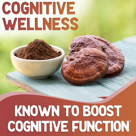 XPRS NUTRA - XPRS Nutra Reishi Mushroom 180 Capsulas - The Red Vitamin MX - Suplementos Alimenticios - {{ shop.shopifyCountryName }}