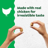 GREENIES - Greenies Supplements Digestive Health Probiotics for Dogs Chicken Flavor 80 Masticables - The Red Vitamin MX - Probióticos Para Perros - {{ shop.shopifyCountryName }}