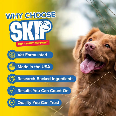 SKIP - SKIP Dog Hip and Joint Supplement 60 Masticables - The Red Vitamin MX - Cuidado De Cadera Y Articulaciones Para Perros - {{ shop.shopifyCountryName }}