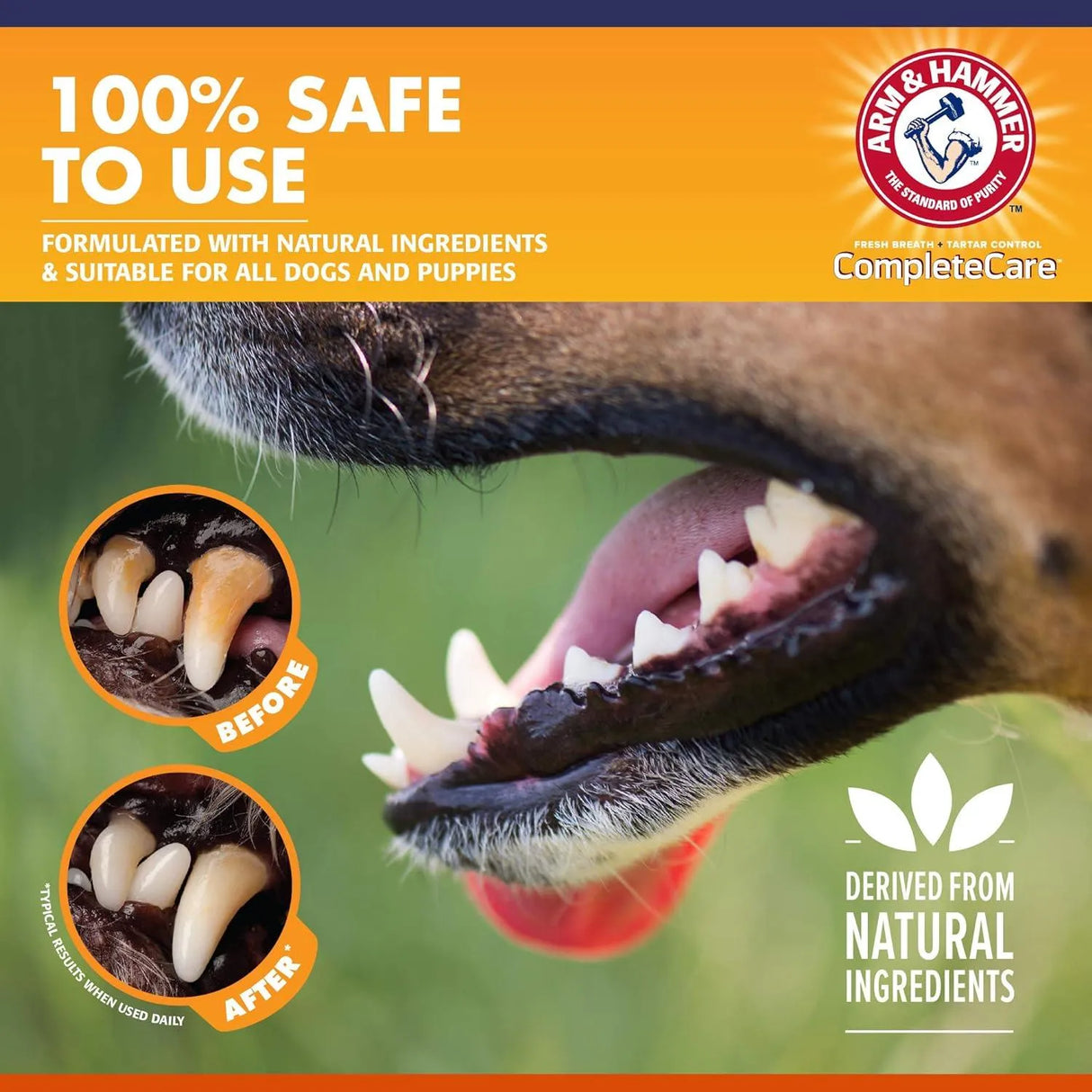 ARM & HAMMER - Arm & Hammer Complete Care Enzymatic Dog Toothpaste 6.2 Oz. - The Red Vitamin MX - Cuidado Dental Para Perros - {{ shop.shopifyCountryName }}