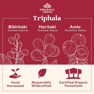 ORGANIC INDIA - Organic India Triphala 90 Capsulas - The Red Vitamin MX - Suplementos Alimenticios - {{ shop.shopifyCountryName }}