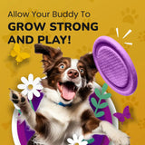 PETMADE - PETMADE Dog Hip and Joint Supplement 16 Fl.Oz. - The Red Vitamin MX - Cuidado De Cadera Y Articulaciones Para Perros - {{ shop.shopifyCountryName }}