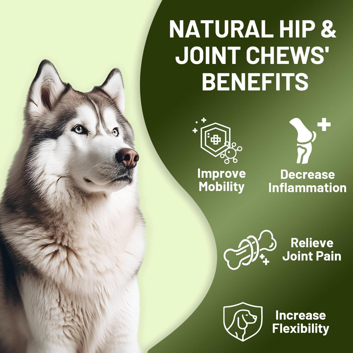 Noble Beast Dog Joint Supplement Chicken Flavor 120 Masticables