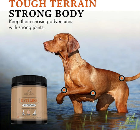 ALPHA DOG NUTRITION - Alpha Dog Nutrition OptiLife Dog Multivitamin Powder 60 Servicios 444Gr. - The Red Vitamin MX - Multivitamínicos Para Perros - {{ shop.shopifyCountryName }}
