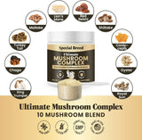 SPECIAL BREED - Special Breed Mushroom Powder for Dogs & Cats 180 Servicios 90Gr. - The Red Vitamin MX - Suplementos Herbales Para Perros - {{ shop.shopifyCountryName }}