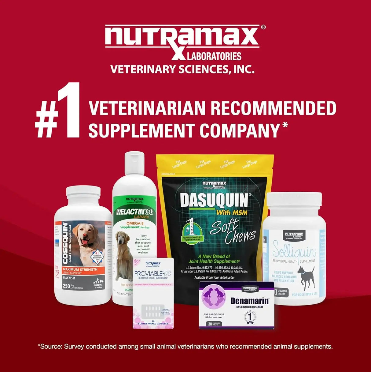 NUTRAMAX - Nutramax Laboratories Crananidin Cranberry Extract Urinary Tract Health Supplement for Dogs 75 Tabletas Masticables - The Red Vitamin MX - Salud De Tracto Urinario Para Perros - {{ shop.shopifyCountryName }}