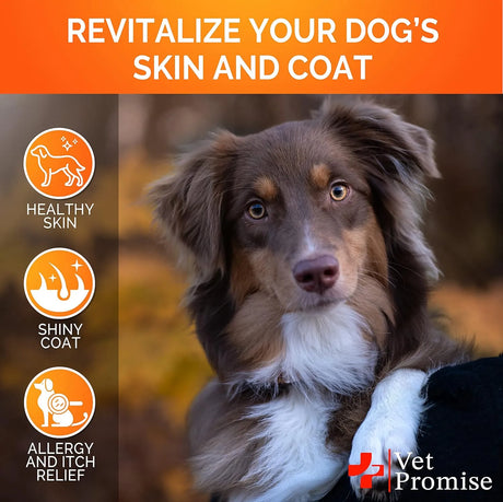 VET PROMISE - Vet Promise Omega 3 for Dogs 120 Masticables - The Red Vitamin MX - Aceite De Pescado Para Perros - {{ shop.shopifyCountryName }}