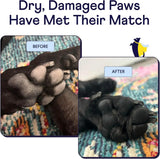 FINN - Finn Paw Hero Natural Revitalizing Dog Paw Balm 1.75 Oz. - The Red Vitamin MX - Remedios Para La Picazón De Perros - {{ shop.shopifyCountryName }}