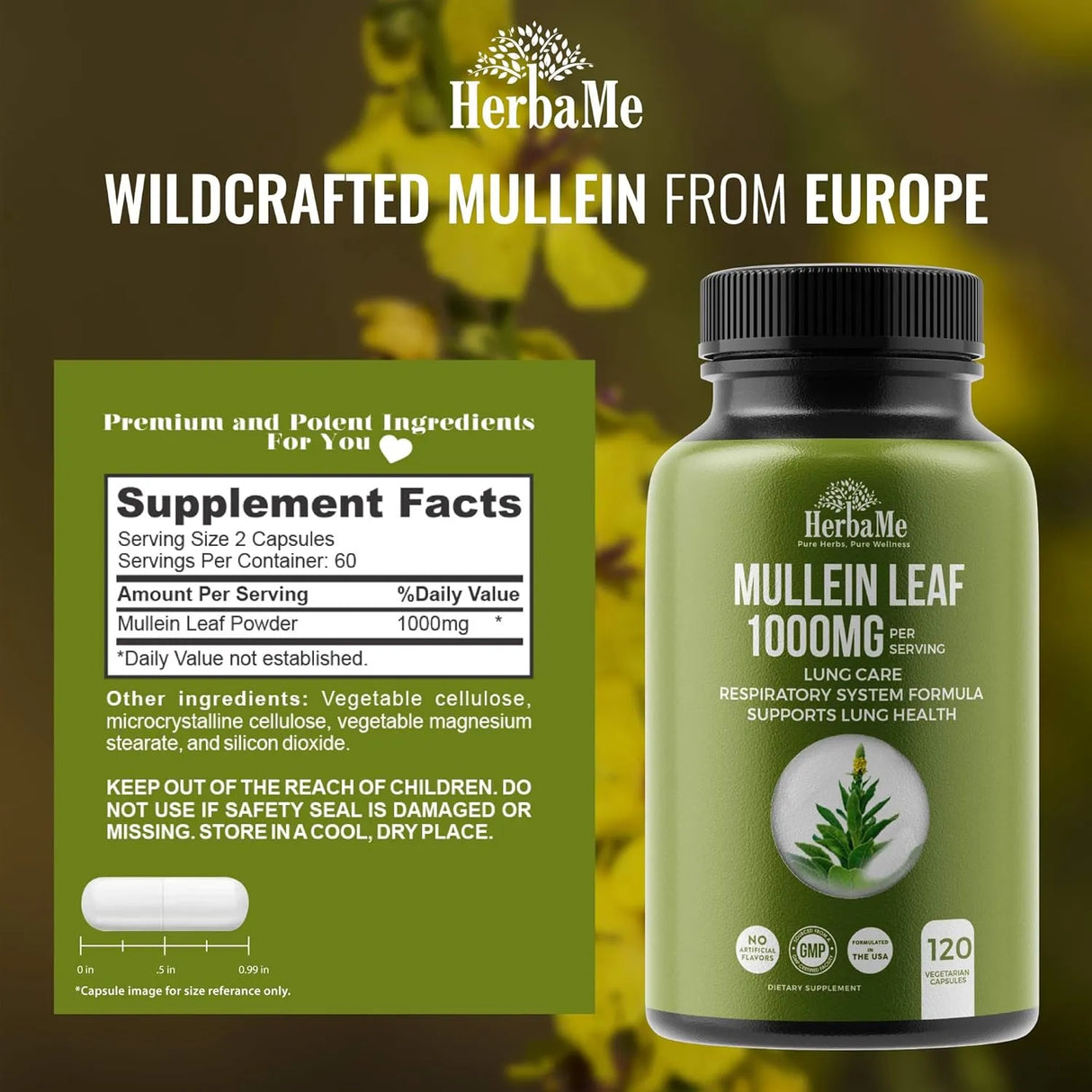 HERBAME - HerbaMe Mullein Leaf 1000Mg. Lung Detox 120 Capsulas - The Red Vitamin MX - Suplementos Alimenticios - {{ shop.shopifyCountryName }}