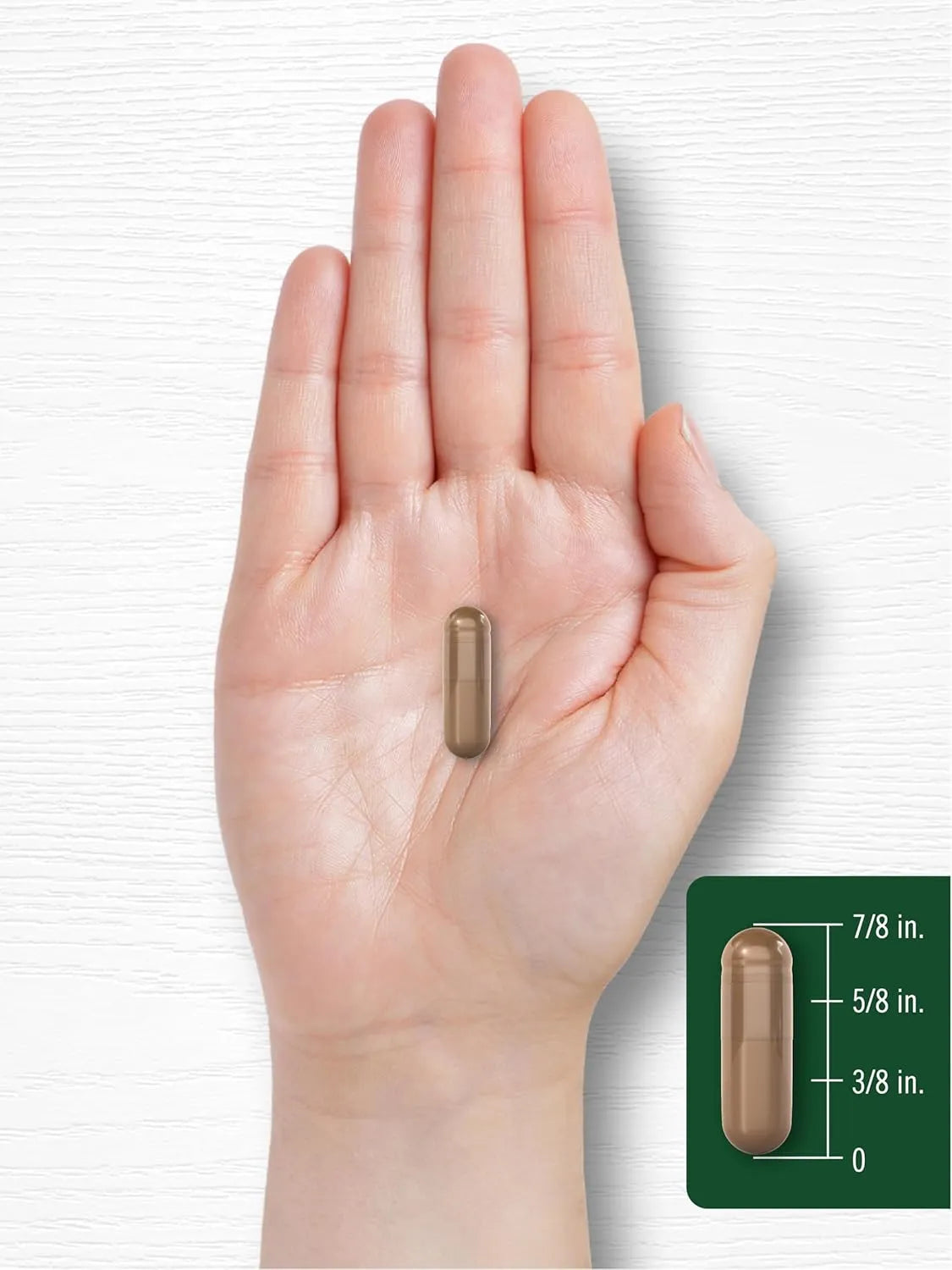CARLYLE - Carlyle Reishi Mushroom 5000Mg. 300 Capsulas - The Red Vitamin MX - Suplementos Alimenticios - {{ shop.shopifyCountryName }}